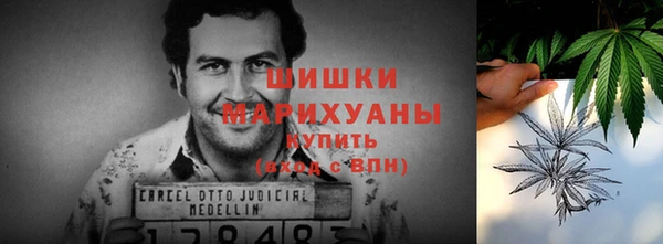 крисы Струнино